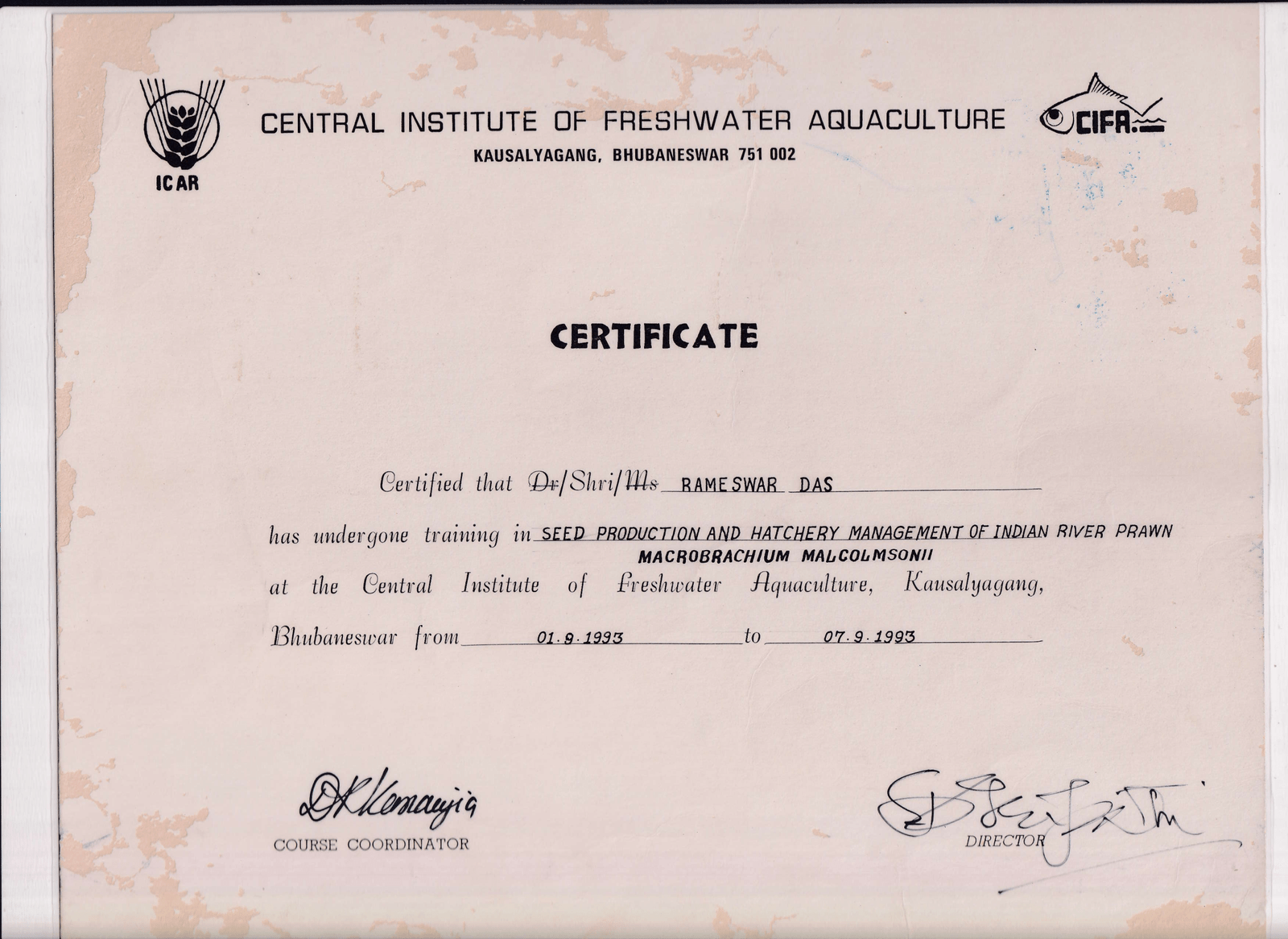 CIFA, Bhubaneswar Certificate-1