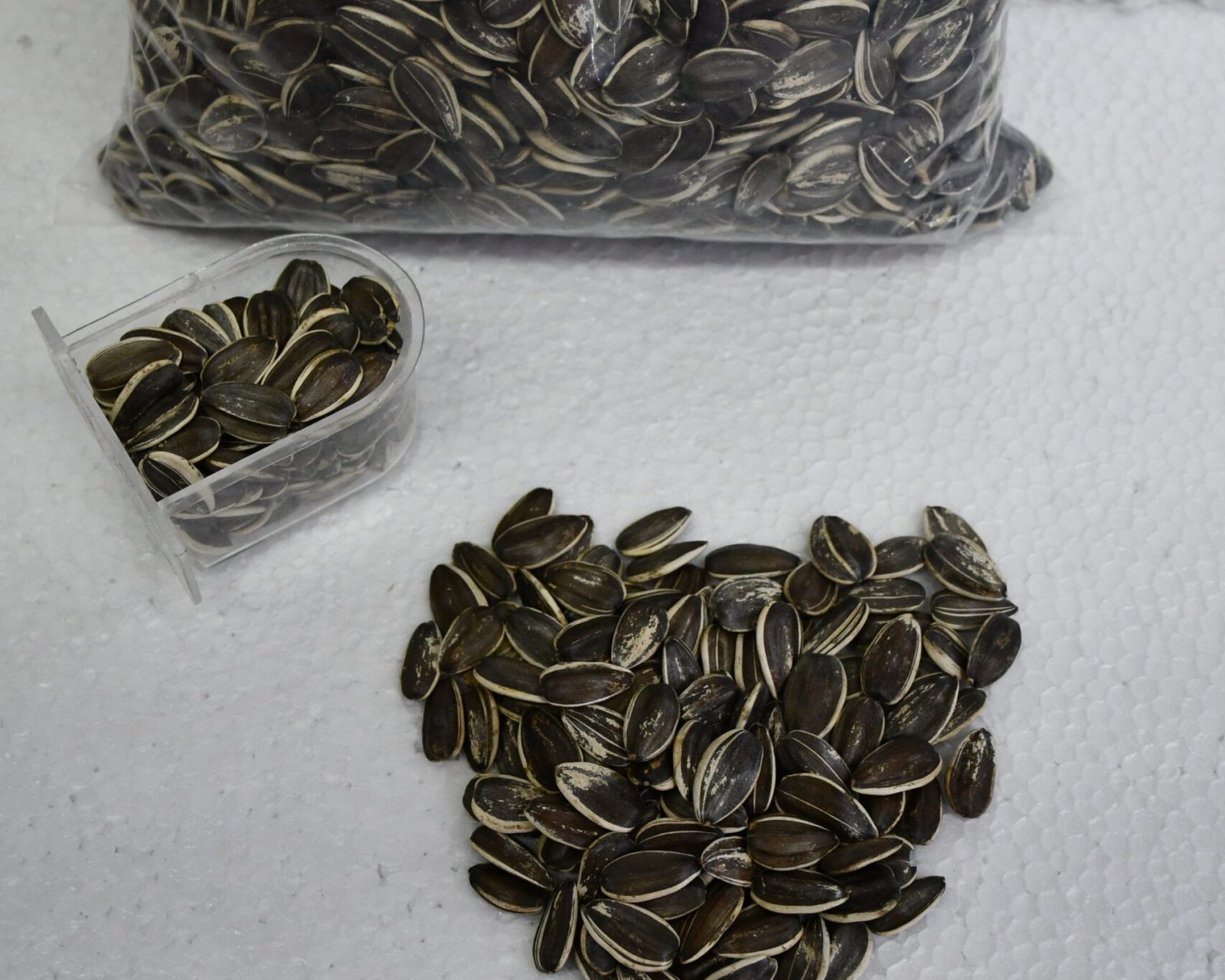 Big Sunflower Seed (For Lovebirds, Parrots, Conures, Cockatoos, Macaws)