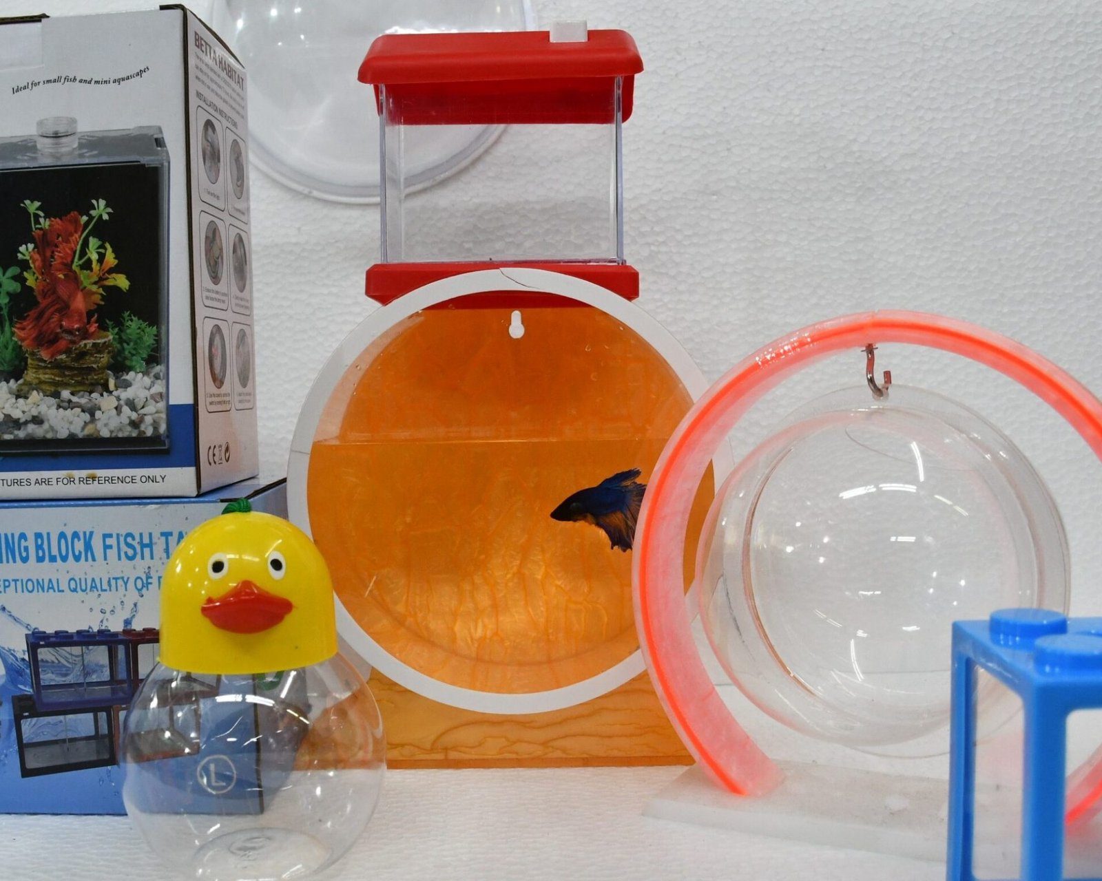 betta box