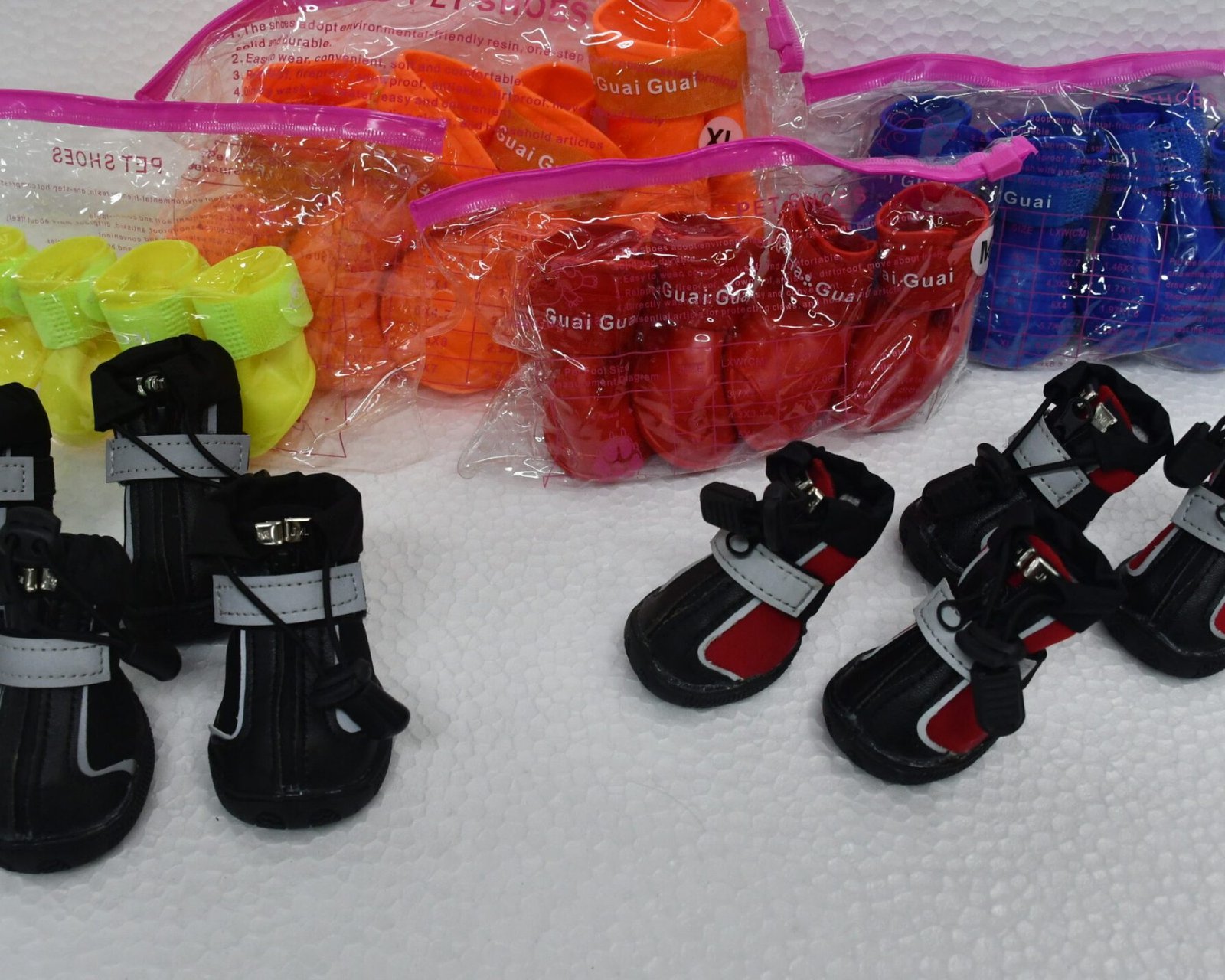 pet shoes